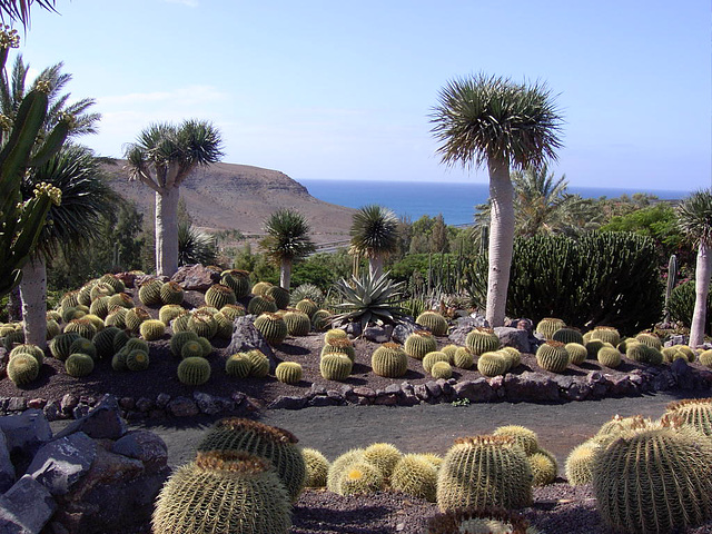 Fuerteventura