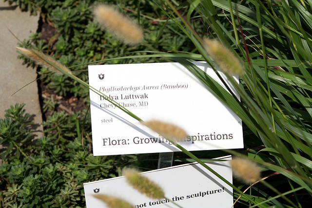 78.Flora.GrowingInspirations1.USBG.WDC.31August2009