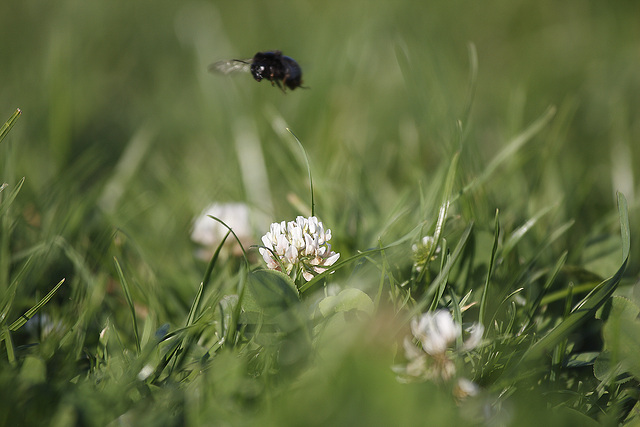 los gehts / takeoff