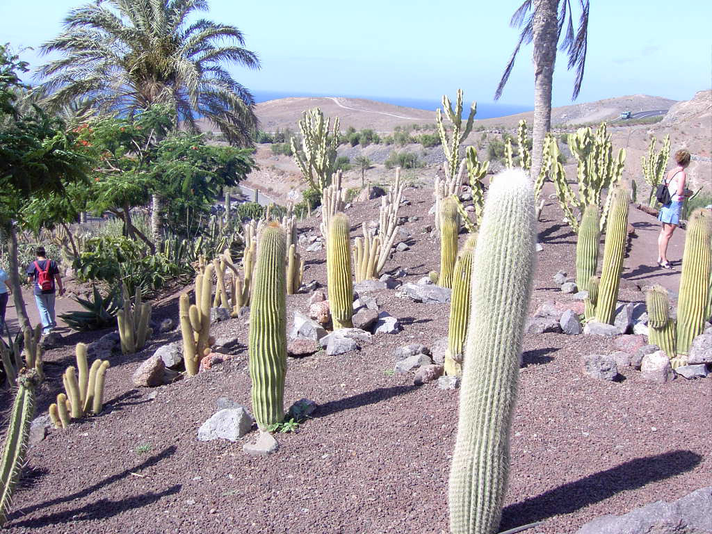 Fuerteventura