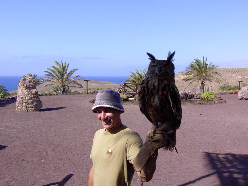 Fuerteventura - Greifvogelshow