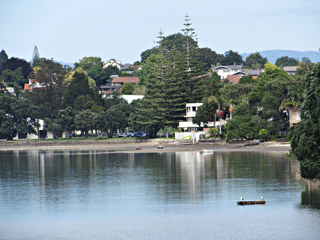 Tauranga Water Front From Foot and Rail Bridge