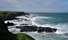 Phillip Island day trip