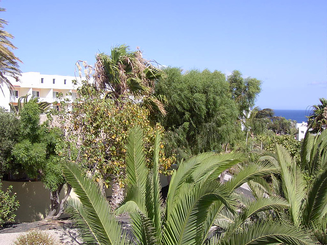 Fuerteventura