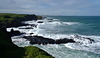 Phillip Island day trip