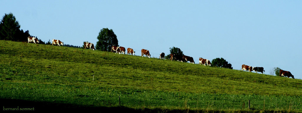 Caravane du matin