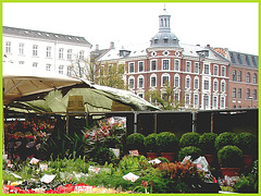 Plantes et architecture - Copenhague.  20 octobre 2008.