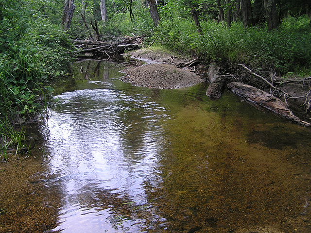 Our swimmin' hole!