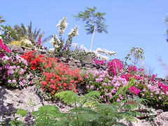 Fuerteventura