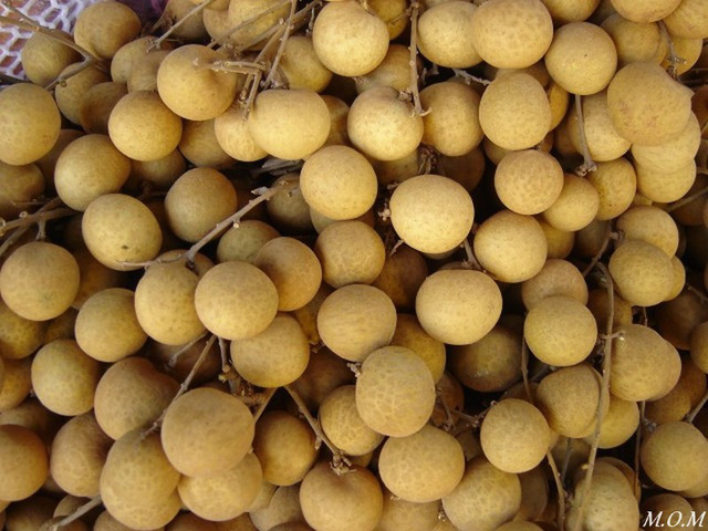 Le longani, un veritable delice. Cela ressemble un peu au litchi