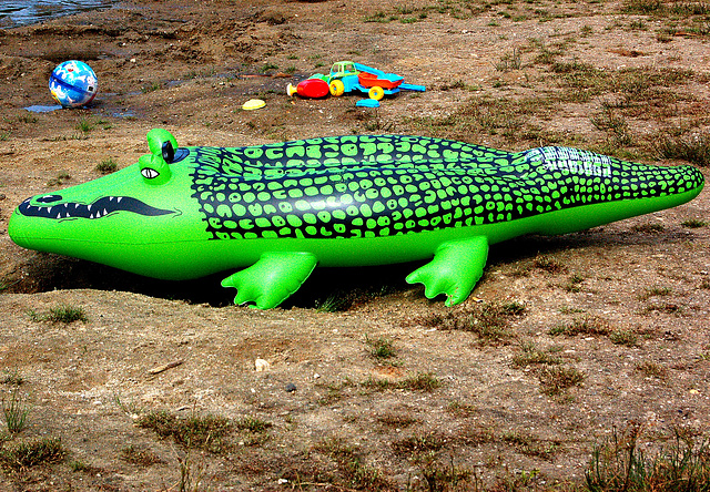 Verda krokodilo sen lernolibro