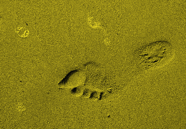 Piedaj sablopremaĵoj - Fußabdrücke im Sand