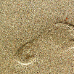 Piedpremaĵo de Cezar