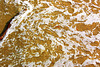 ŝaŭmo, sablo, ondo - Schaum, Sand, Welle