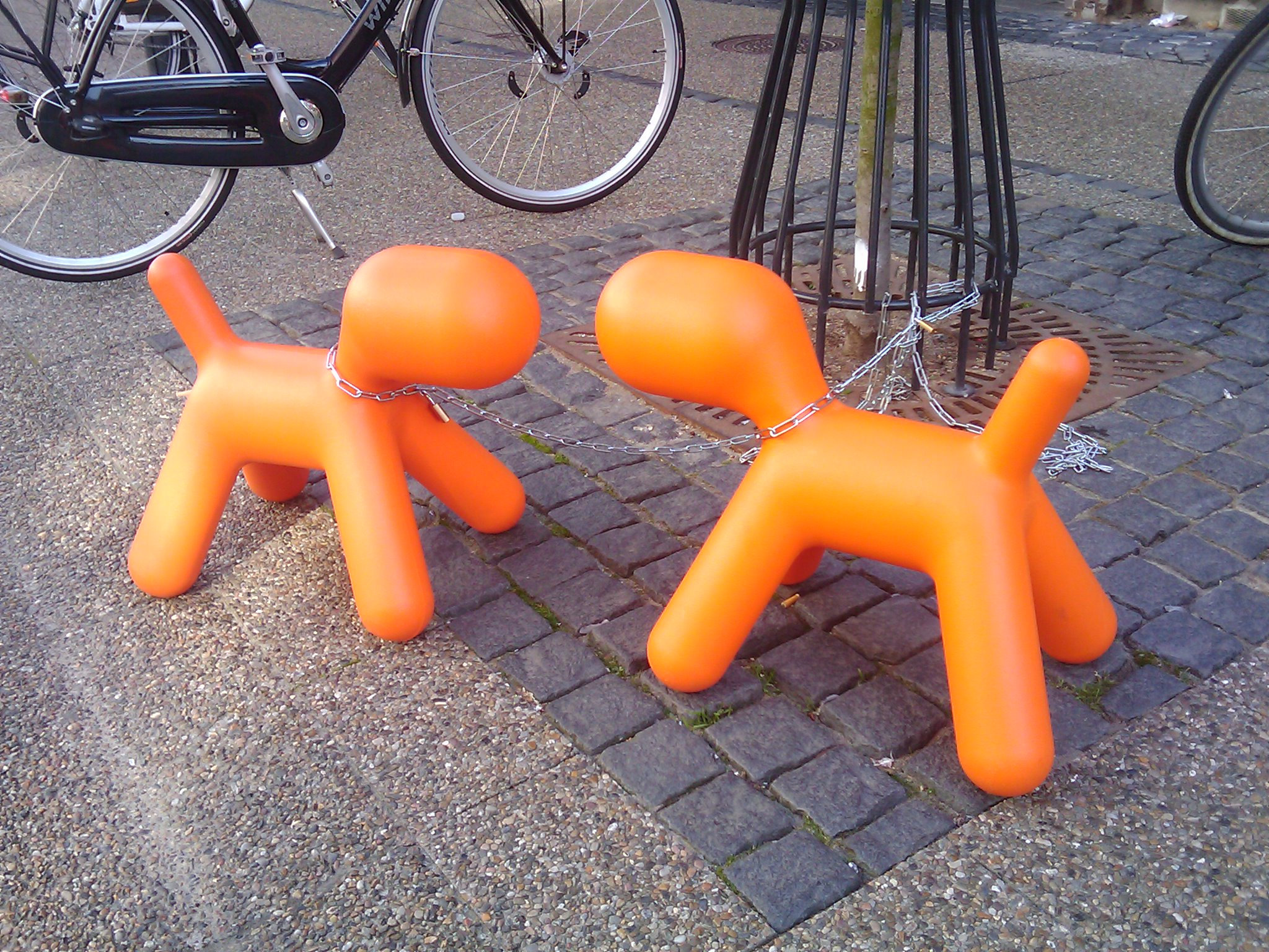 Waiting dogs