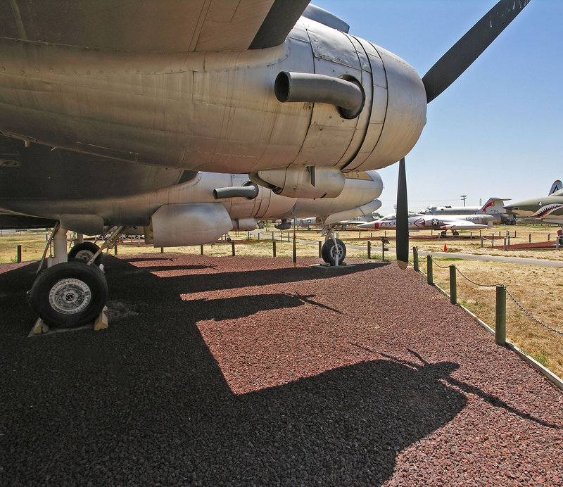 Douglas R5D-4 Skymaster (8481)