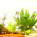 2003-04-01 06 akvario