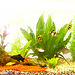 2003-04-01 07 akvario