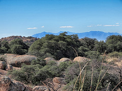 Huachuca Mountains