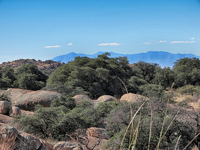 Huachuca Mountains