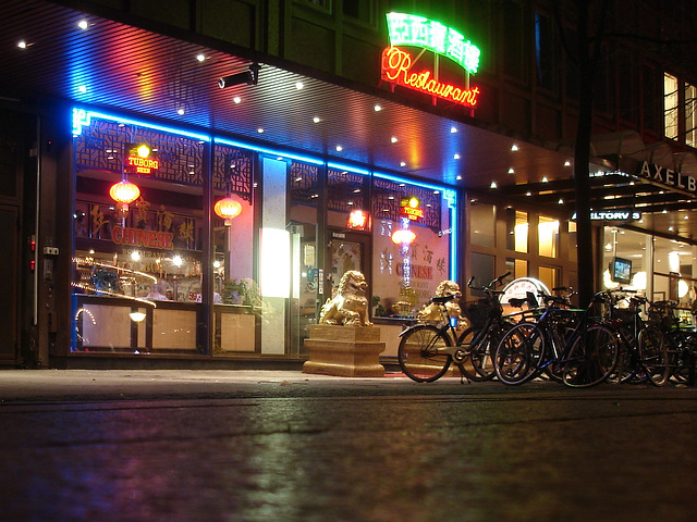 Vélos et dragons de nuit  /  Bikes & dragons night sight..   Copenhague /  Copenhagen.   25-10-2008