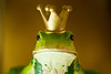 Who would kiss a frog like this?