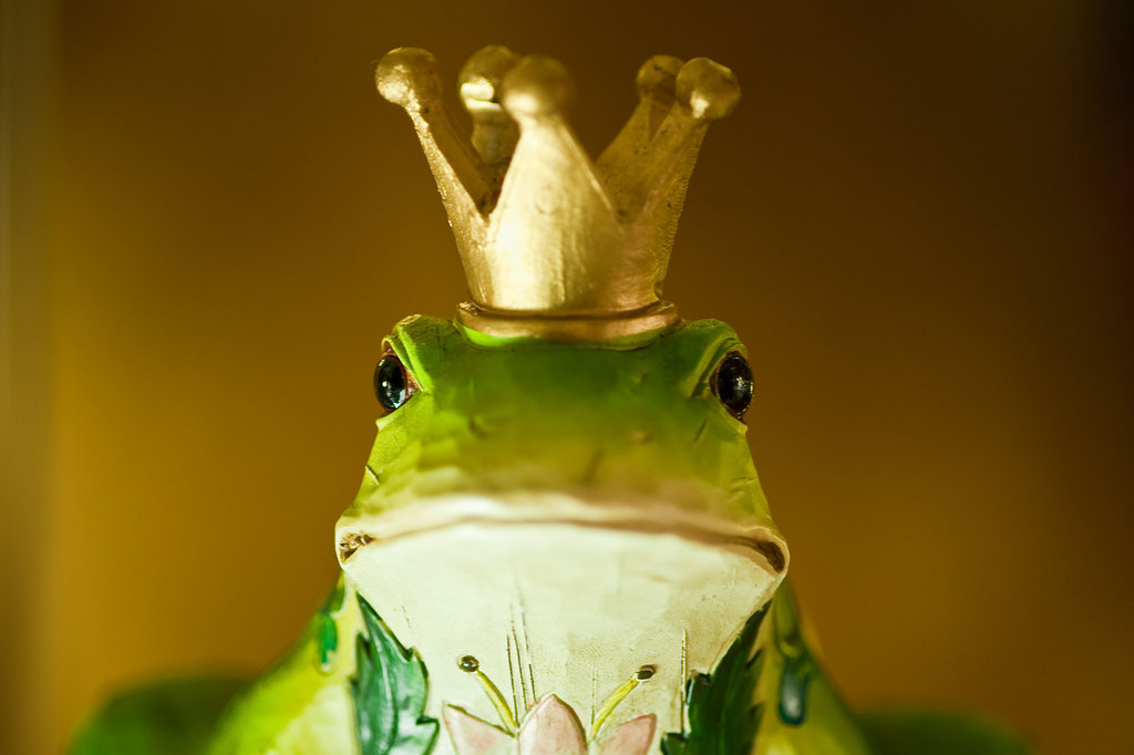 Who would kiss a frog like this?