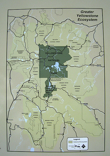 Yellowstone Area Map (3736)