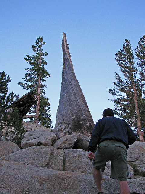 May Lake Camp (0774)
