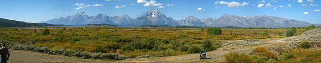 Grand Teton - Willow Flats (1)