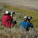 Photographing Bison in Hayden Valley (4156)