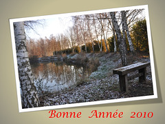 BONNE ANNÉE 2010