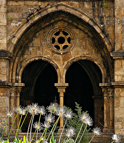 Arches and flowers