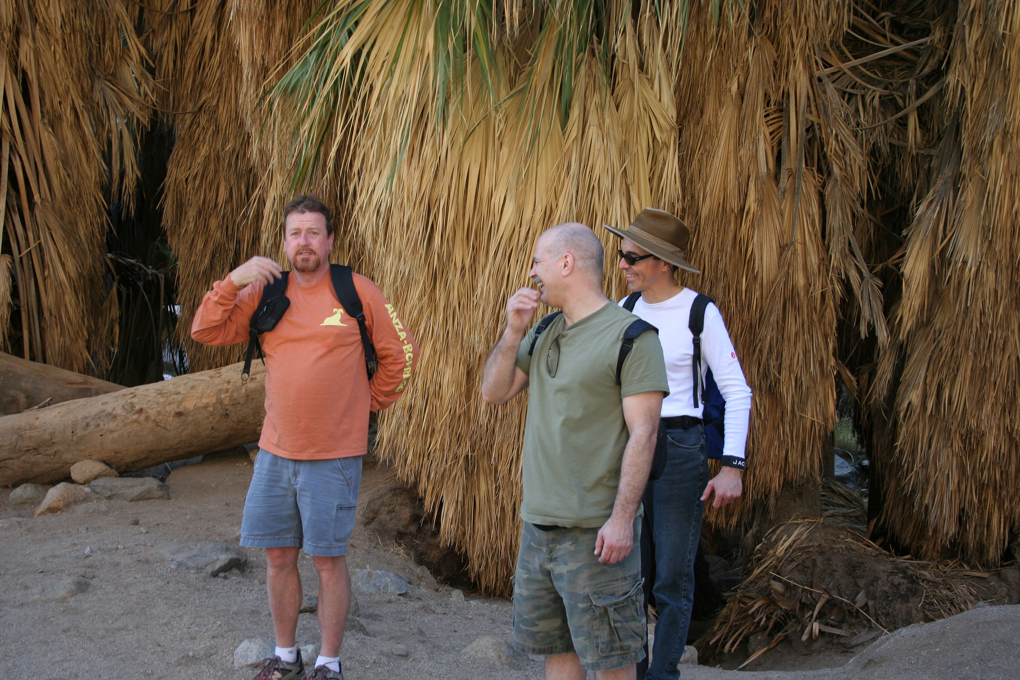 Borrego Palm Canyon Oasis (3337)