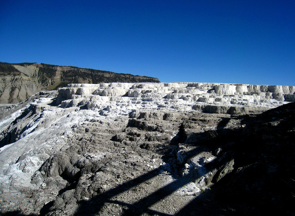 Mammoth Hot Springs (4290)