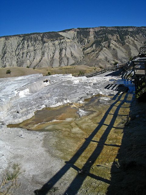 Mammoth Hot Springs (4291)