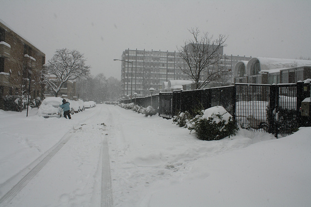 13.SnowBlizzard.SW.WDC.19December2009