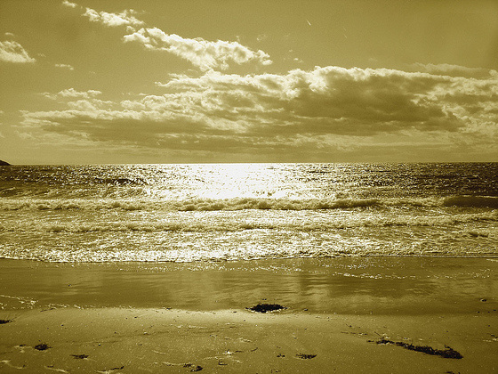 Deserted beach / Plage déserte -  Maine, USA -  11 octobre 2009 -Sepia - Création Krisontème avec tache frottée.