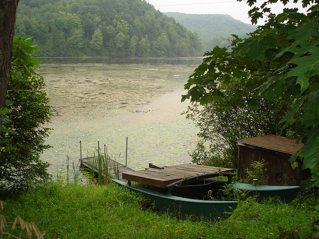 Half moon state park. Sur la 4 près de la 30 nord. Vermont, USA /  États-Unis -   26 juillet  2009