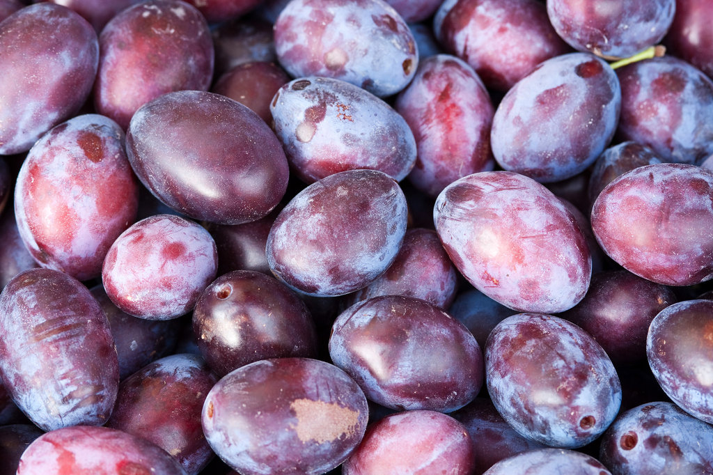 Plum Plum
