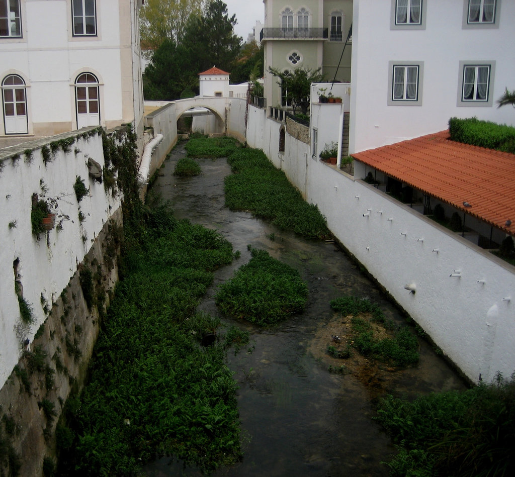 Alcobaça, River Alcoa (2)