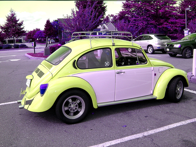 Volkswagen for sale  /  VW à vendre - Portland, Maine USA - 11-10-2009 / RVB jaune