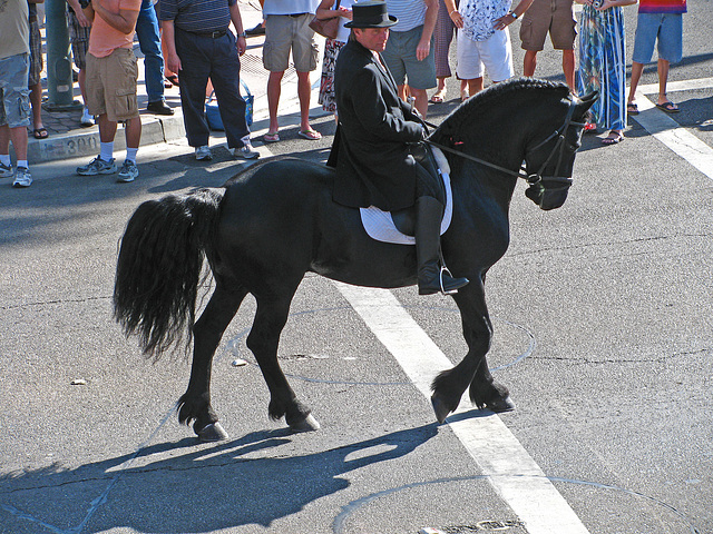 Palm Springs Pride 2009 (1737)