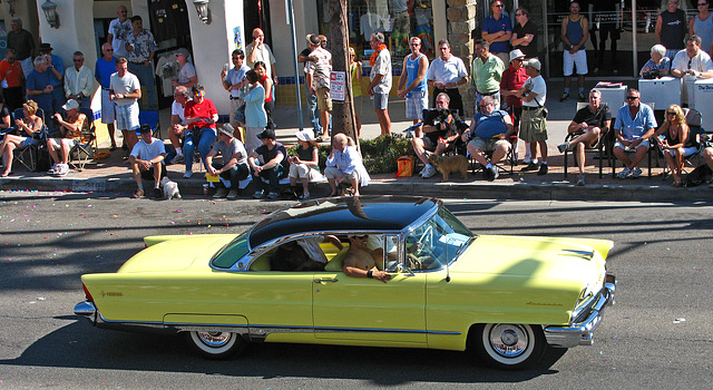 Palm Springs Pride 2009 (1748)