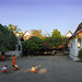 Monks in the yard of Wat Pa Phai