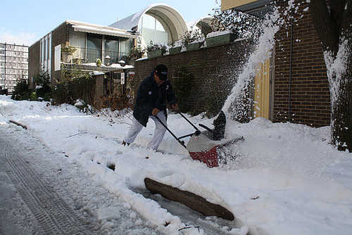 07.3DaysAfter.SnowBlizzard.SW.WDC.22December2009