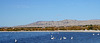 North Shore (2955)