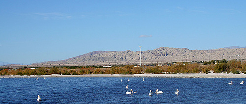 North Shore (2955)