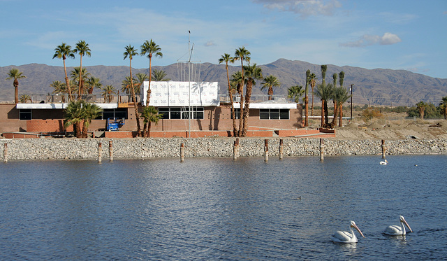 North Shore Marina (2951)