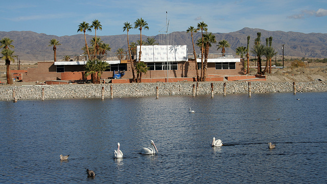 North Shore Marina (2952)